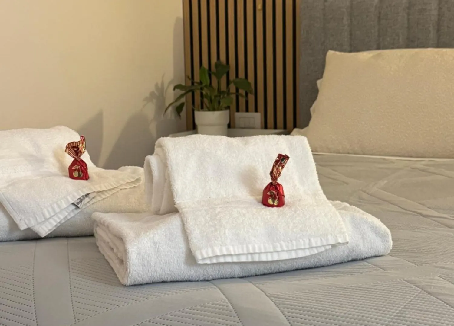 Apartment Welcoming Vatican Garden Home Rome